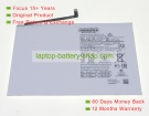 Samsung SCUD-WT-N19 3.85V 6820mAh original batteries