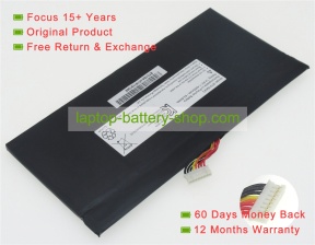 Getac BT01BA4C 14.4V 4300mAh replacement batteries