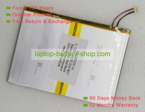 Other EU2969100P 3.7V 2700mAh original batteries